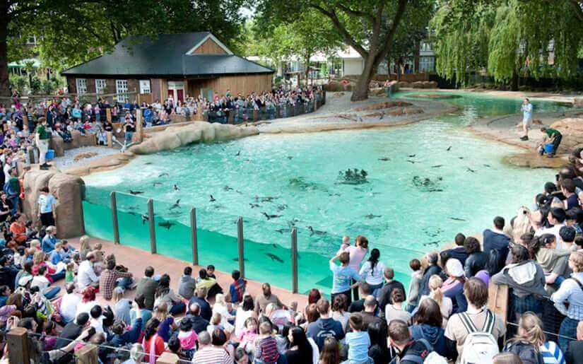 גן החיות של לונדון ZSL London Zoo גן החיות בלונדון