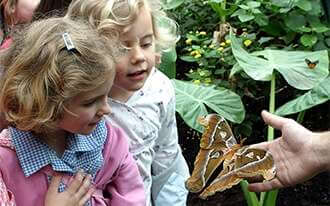 גן החיות של לונדון - ZSL London Zoo